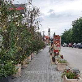 Katica Pékség Balatonkenese - Egyéb