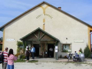 Kattra Pincészet Etyek