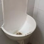 Kávéház a Vörös Lóhoz Tapolca-Diszel - Egyéb