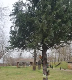 Keceli Halászcsárda