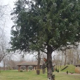 Keceli Halászcsárda Kecel - Egyéb