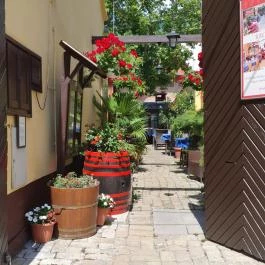 Kecskeméti Csárda és Borház, Kecskemét - Egyéb