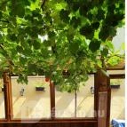 Kecskeméti Csárda és Borház Kecskemét - Egyéb