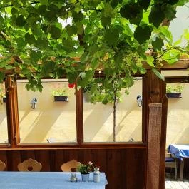 Kecskeméti Csárda és Borház, Kecskemét - Egyéb