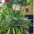 Kecskeméti Csárda és Borház Kecskemét - Egyéb