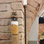 KEG Sörművház Budapest - Belső