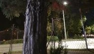 Kégli kert Sopron - Külső kép