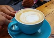 Kék Elefánt Kávézó Szeged