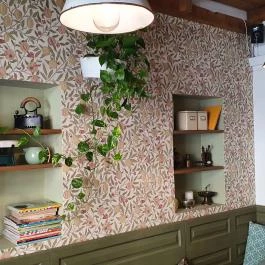 Kelesztő Szeged - Egyéb