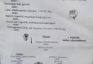 Kenese Bistro Bringatanya Balatonkenese