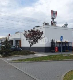 Kentucky Fried Chicken