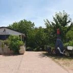 Kerekes Pince Balatonalmádi - Egyéb