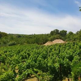 Kerekes Pince Balatonalmádi - Egyéb