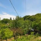 Kerekes Pince Balatonalmádi - Egyéb