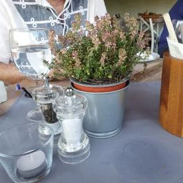 Kerekes Pince Balatonalmádi - Egyéb