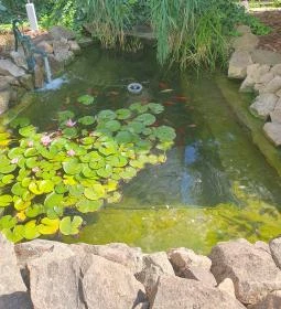 Kert Cafe Fagylaltozó és Kávézó