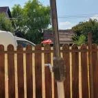 Kerti Büfé Békésszentandrás - Egyéb