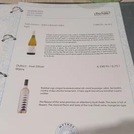 Mythos the Greek Budapest - Egyéb