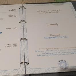 Mythos the Greek Budapest - Egyéb