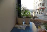 Kicsi Leves & Szendvics Budapest