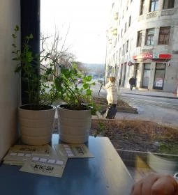 Kicsi Leves & Szendvics