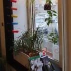 KicsiZso Budapest - Egyéb