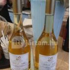 KicsiZso Budapest - Egyéb