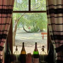 Kígyósi Csárda Fülöpszállás - Egyéb