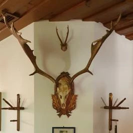 Kígyósi Csárda Fülöpszállás - Egyéb