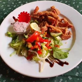 Kígyósi Csárda Fülöpszállás - Egyéb