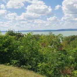 Kilátó Presszó Balatonföldvár - Egyéb