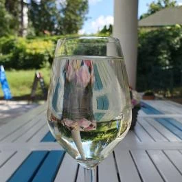 Kilátó Presszó Balatonföldvár - Egyéb