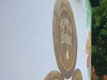 Kincsem Borozó Göd