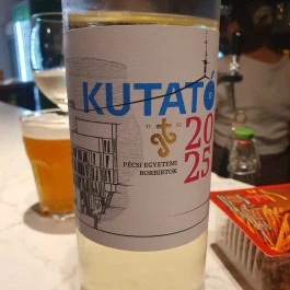 Kioszk, Balatonfenyves - Étel/ital