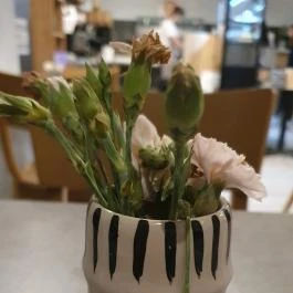 Kis Nápoly Pizzéria Debrecen - Egyéb