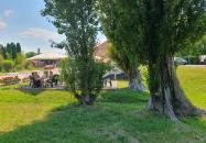 A kis Pisztrángos Fonyód
