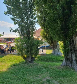 A kis Pisztrángos