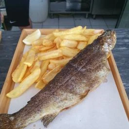 A kis Pisztrángos, Fonyód - Étel/ital