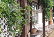 Kis Sziget Kávézó & Bár Eger