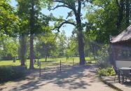 Kisbagoly vendéglő Makó