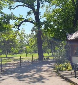  Kisbagoly vendéglő