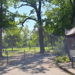  Kisbagoly vendéglő Makó - Egyéb