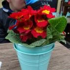 KisBécs Café & Ausztria Borai Budapest - Egyéb