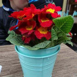 KisBécs Café & Ausztria Borai, Budapest - Egyéb