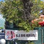 Kisbig Kifőzde Budapest - Egyéb