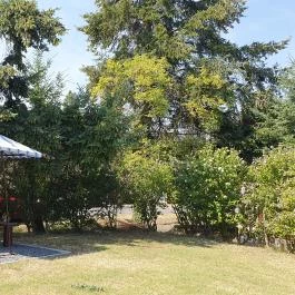 Kisbolt Szigliget - Egyéb