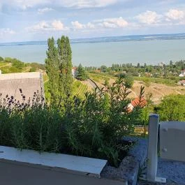 Kisfaludy-ház Badacsony - Egyéb