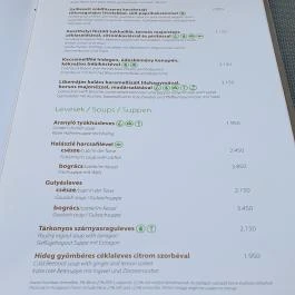 Kisfaludy-ház Badacsony - Egyéb