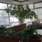 Kisgömböc Ételbár Debrecen - Egyéb