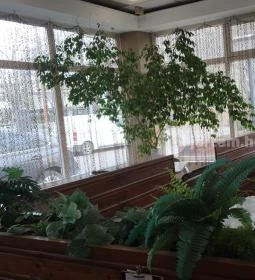 Kisgömböc Ételbár